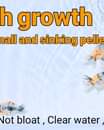 Kan een afbeelding zijn van de tekst 'h growth all and sinking pelle Not bloat Clear water'