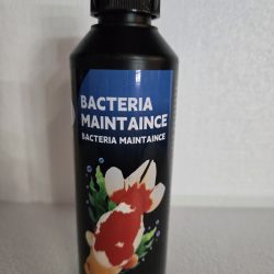 Kingyo Bacteria Maintaince